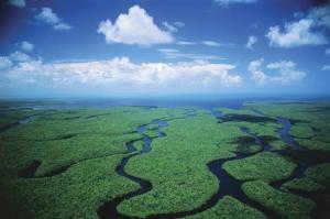 Everglades Arial 1